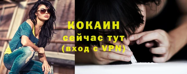 индика Армянск
