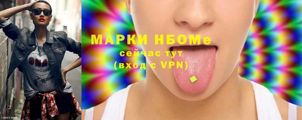 индика Армянск