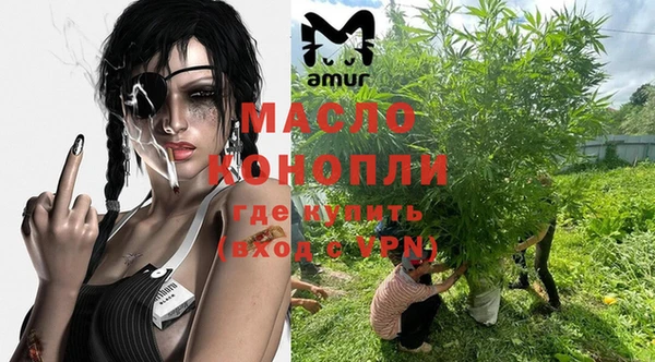 индика Армянск