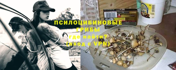 индика Армянск