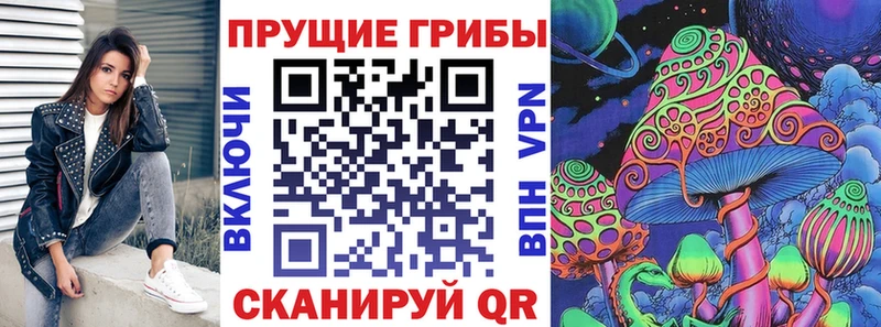 наркотики  Аркадак  Галлюциногенные грибы Psilocybine cubensis 